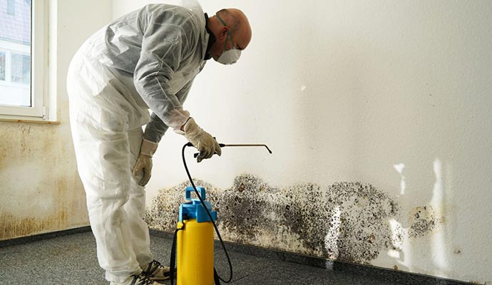 Professional Mold Removal Process in Orange County