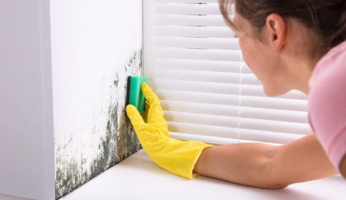 Stop Mold Growth in House by Simple Measurement in 2022