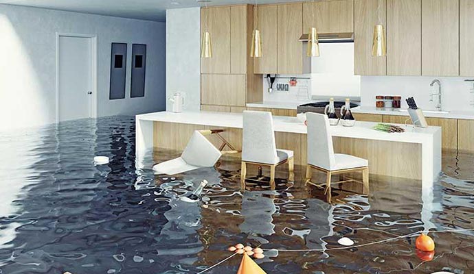 Water Damage Restoration and Repair