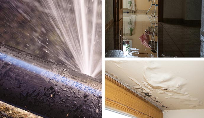 collage of different water damage restoration