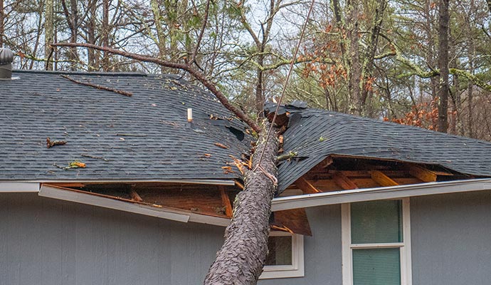 storm damage