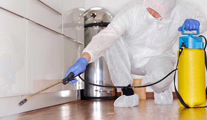 Professional disinfecting service