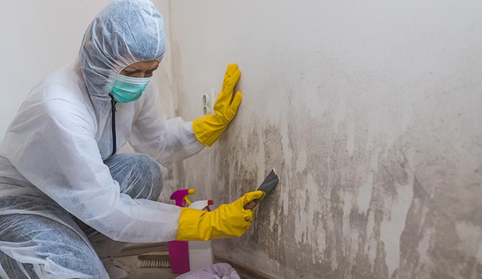 Mold remediation