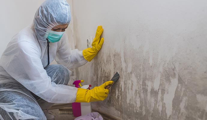 Mold cleaning with equipment