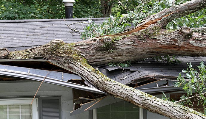 storm damaged house with fallen tree over the house