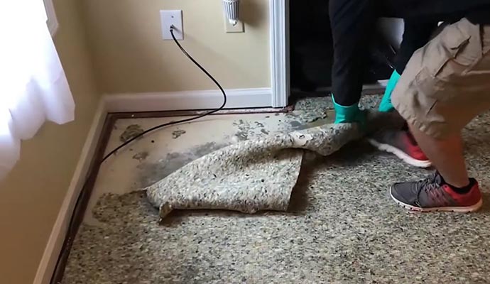 Water damage restoration Video Thumb