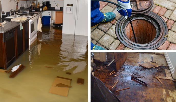 flood damage, sewage removal, and wooden floor damage