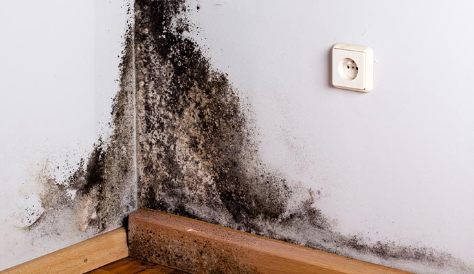 black mold on the wall