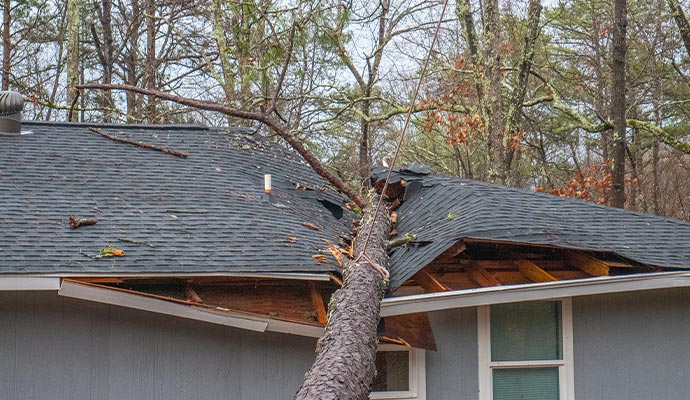 storm damaged house with a fallen tree over the roof