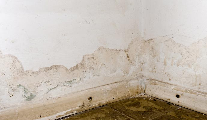 Structural Water Damage Restoration in Orange County