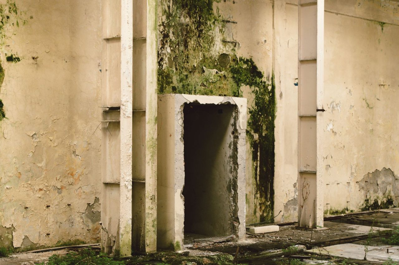 Sebastopol: City Council Approves Additional $175K For Library Mold Remediation - SFGATE