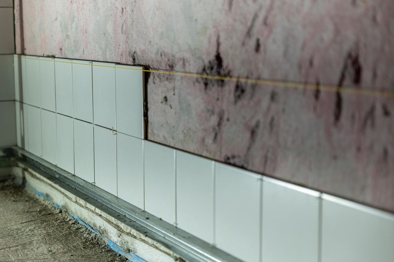 Mold Remediation in Cedar City Earns Strong Customer Ratings - The Malone Telegram