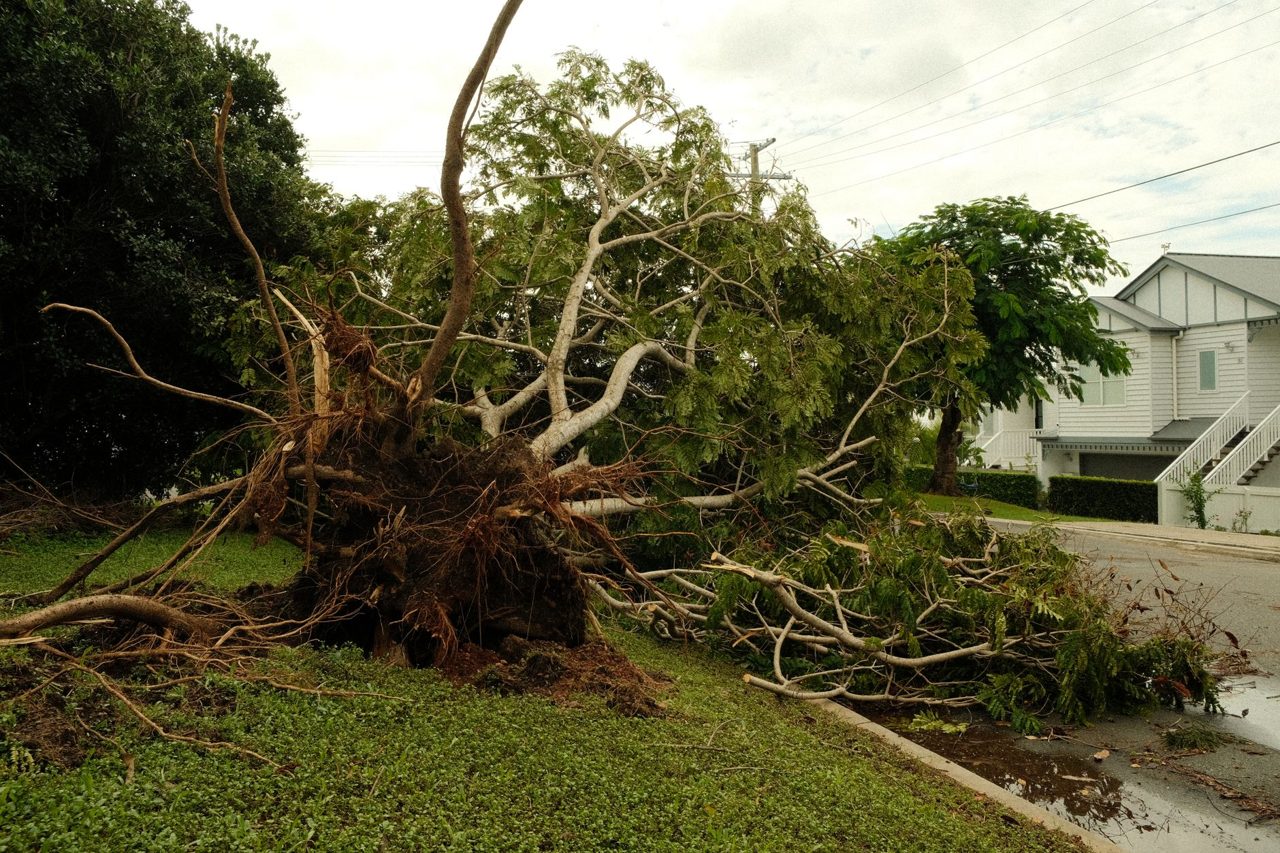 Study Explores Social Media’s Role in Tornado Disaster Communication