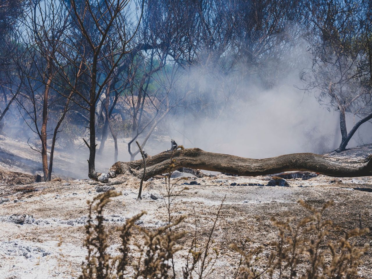 Mile Post 16 Fire - CAL FIRE (.gov)