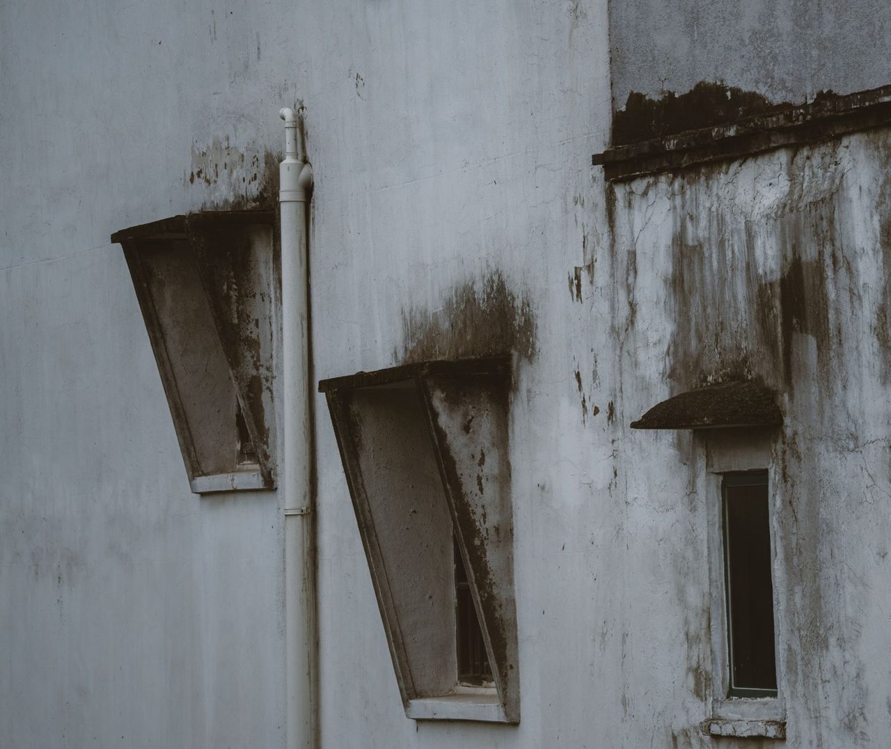 Mold Jobs Without Estimates Converted 36% Worse for Restoration Companies