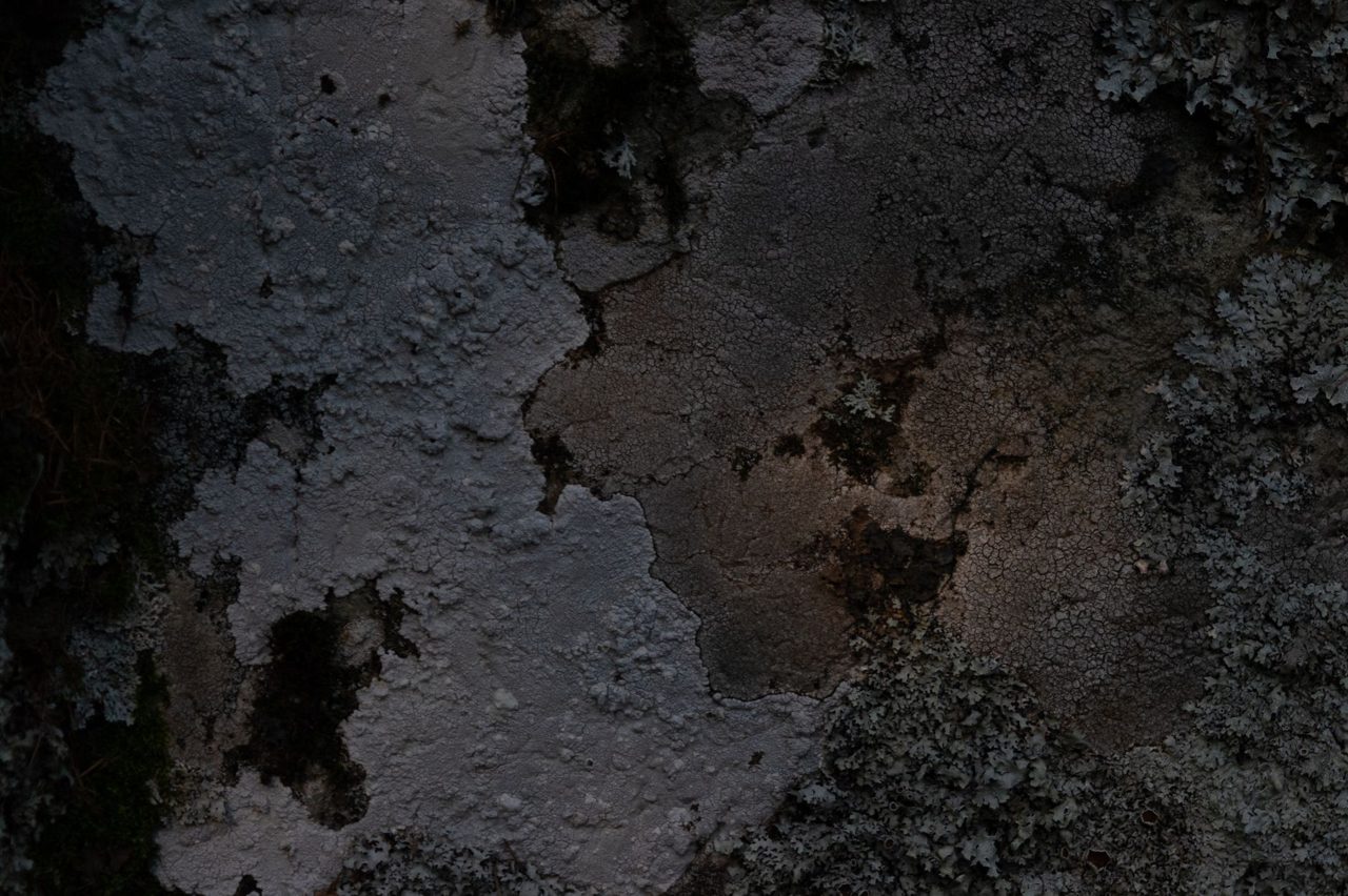 FixMold Becomes South Florida's #1 Mold Remediation Company Across Marine, Commercial, and Residential Properties — After Surpassing 3,600 Remediation Projects in 2025 - Yahoo Finance