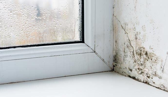 HVAC Mold Removal in Los Angeles, Orange County & Riverside — DKI Restotech