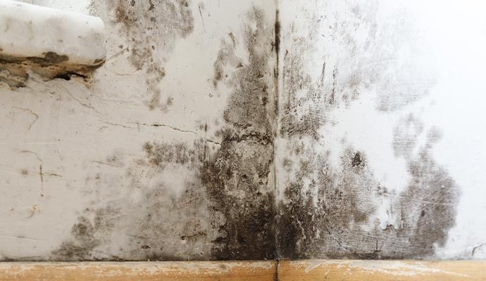 HVAC Mold Removal in Los Angeles, Orange County & Riverside — DKI Restotech