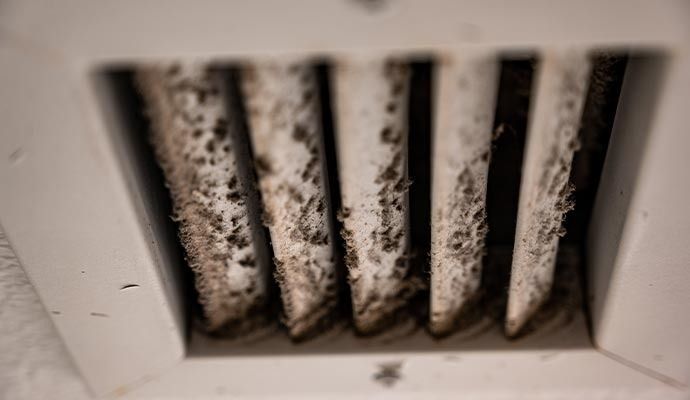 HVAC Mold Removal in Los Angeles, Orange County & Riverside — DKI Restotech