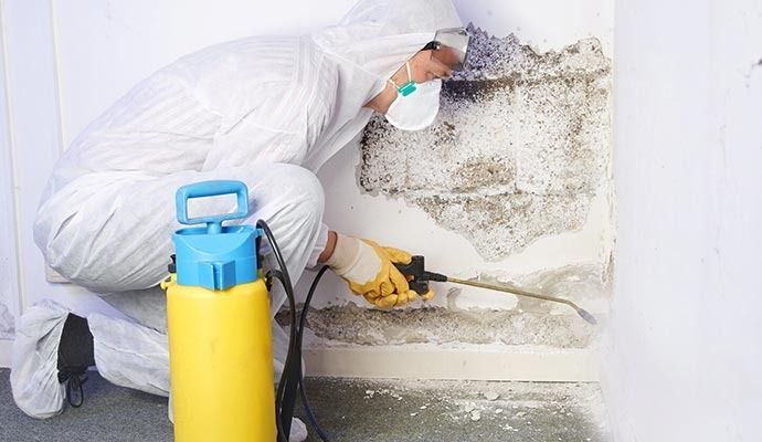 HVAC Mold Removal in Los Angeles, Orange County & Riverside — DKI Restotech