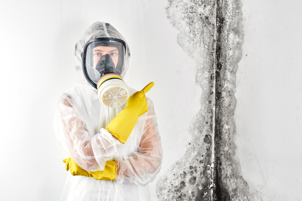 A professional disinfector in overalls and a mask points a finger at the black mold on the wall. Removal of the fungus in the apartment and house